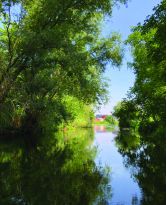 Wantzoom juillet 2021 def-250 Wantzoom juillet 2021 def-250